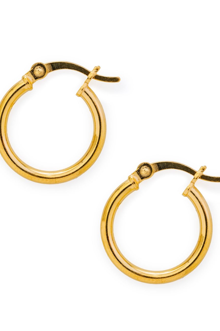 Gold Hinged Hoop Earrings