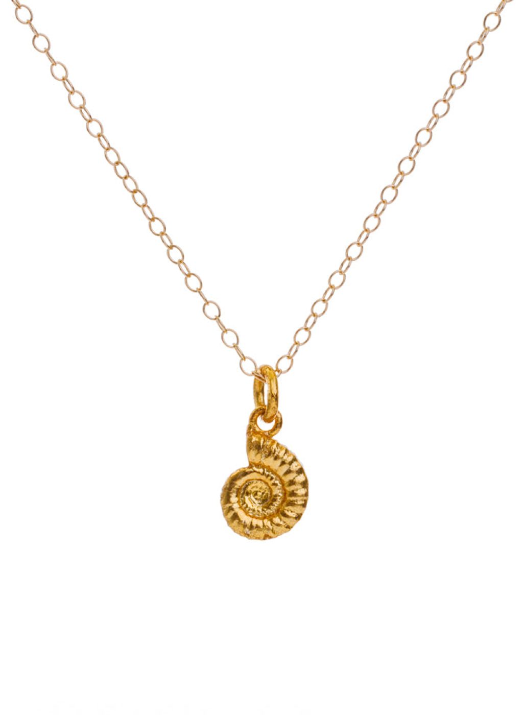 Gold Ammonite Fossil Necklace