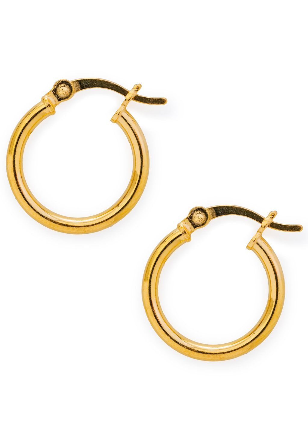 Gold Hinged Hoop Earrings